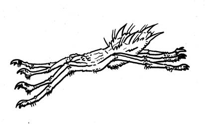Folio Verminus - Thornback Spider