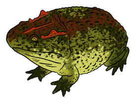 The Lost World Bestiary - Stoa Toad