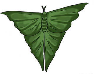 Skull Island Bestiary - Great Green Moth