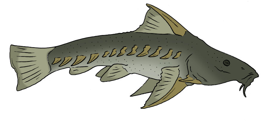 The Lost World Bestiary - High Ripsaw-cat by Boverisuchus on DeviantArt