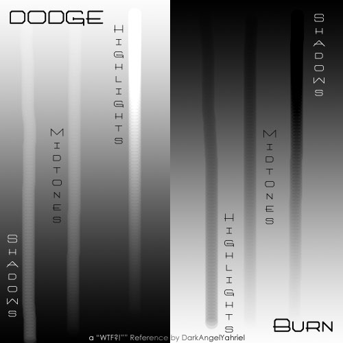 Dodge and Burn Ref. Sheet