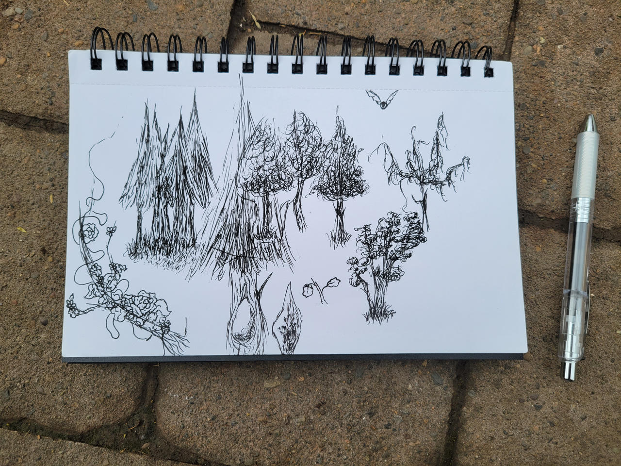 Nature Sketch Dump