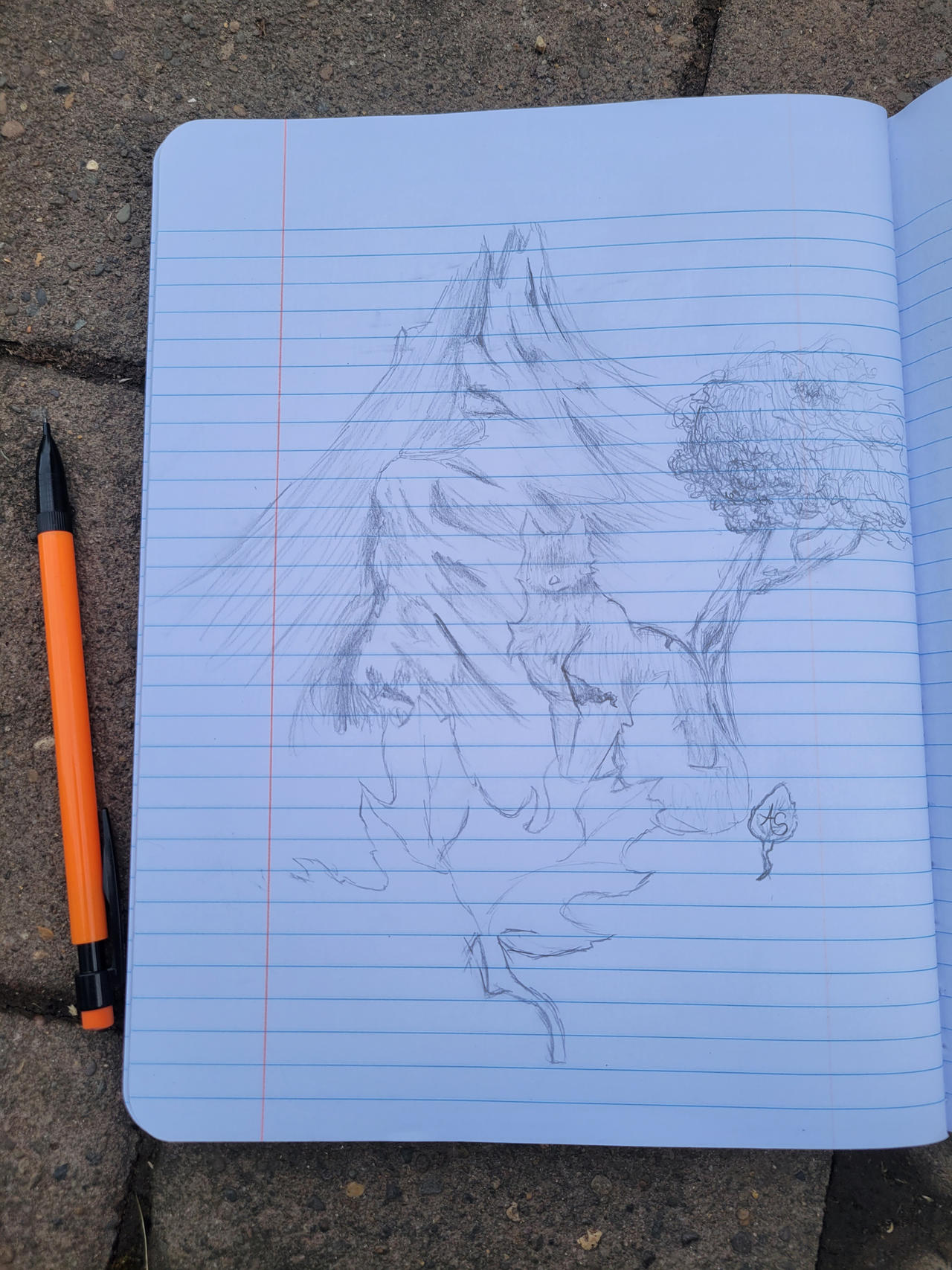 More Nature Sketches