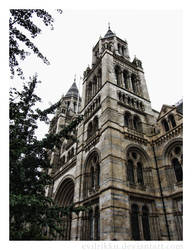 London Trip 2012 #18:  Natural History Museum