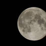 Moon Stock (3571)