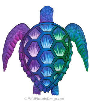 Technicolor Turtle
