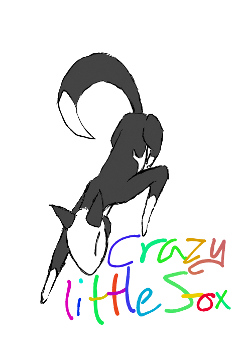 'Crazy' little fox