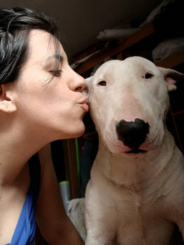 bullterrier and me