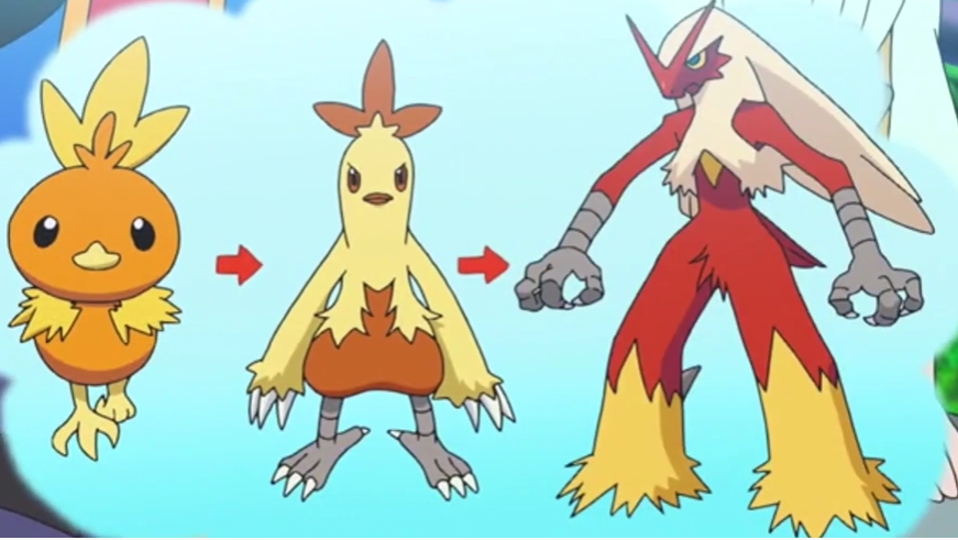 Torchic Evolution Drawing.pdf Torchic Evolution Line by marcusperez824 on DeviantArt