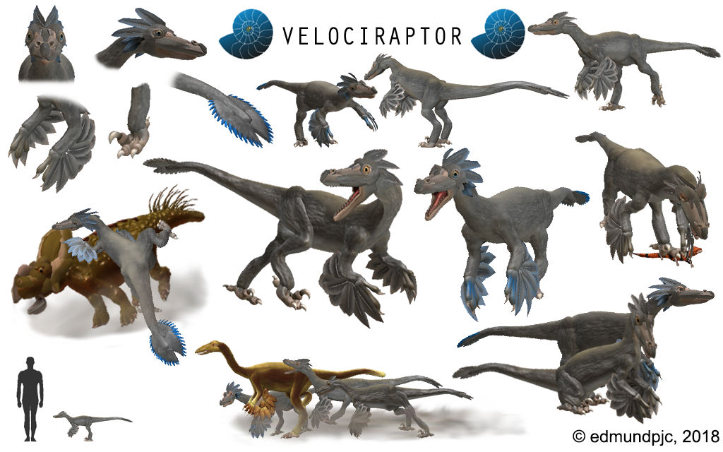 SPORE Dinosaurs: Velociraptor by edmundpjc on DeviantArt