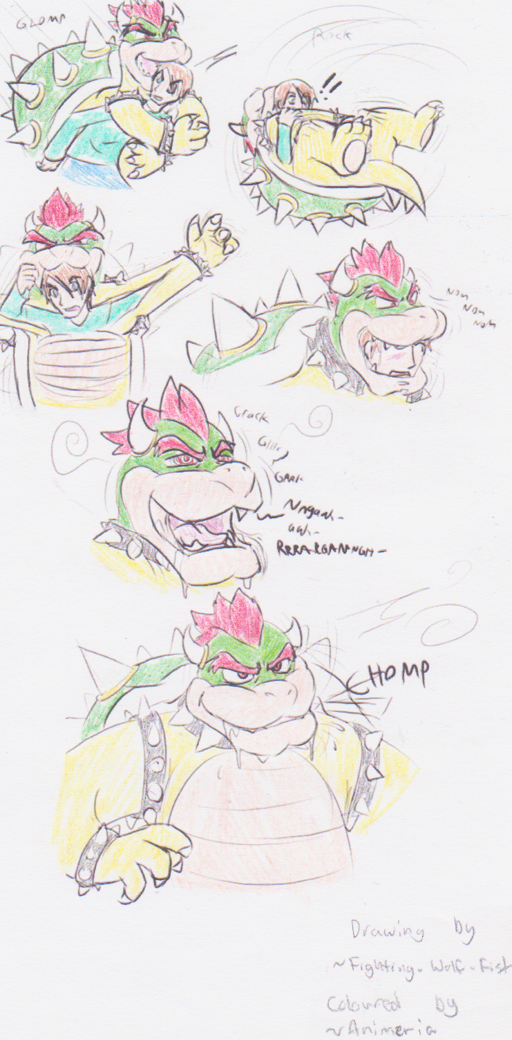 Bowser Costume TF Coloured