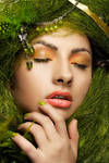 green by ColorBox-STUDIO