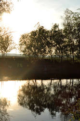 Danube delta