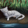 Silverpaw by the Riverbed