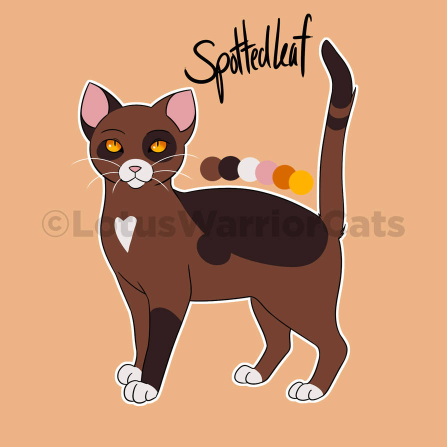 Spottedleaf Paws Spottedleaf by LotusLostInParis on DeviantArt