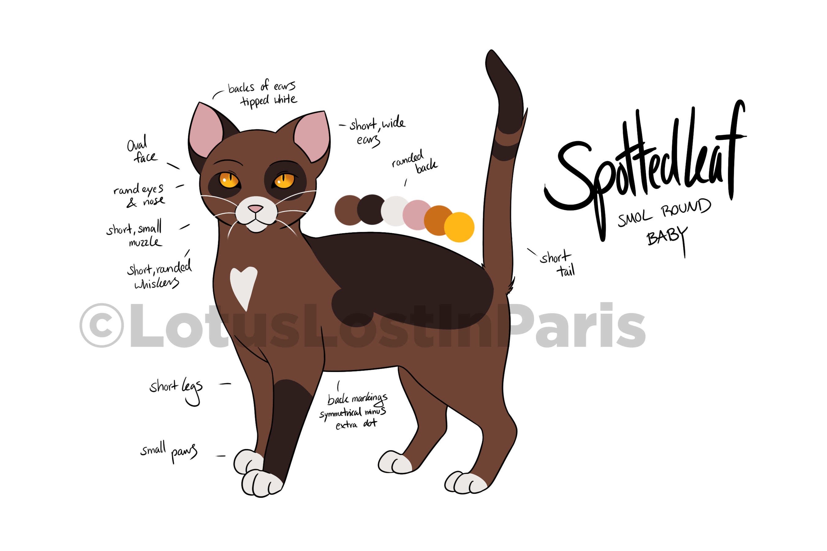 Spottedleaf Falling Spottedleaf by LotusLostInParis on DeviantArt