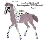5515 Padro Foal Design by Vesperity