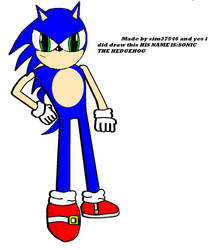 sonic says