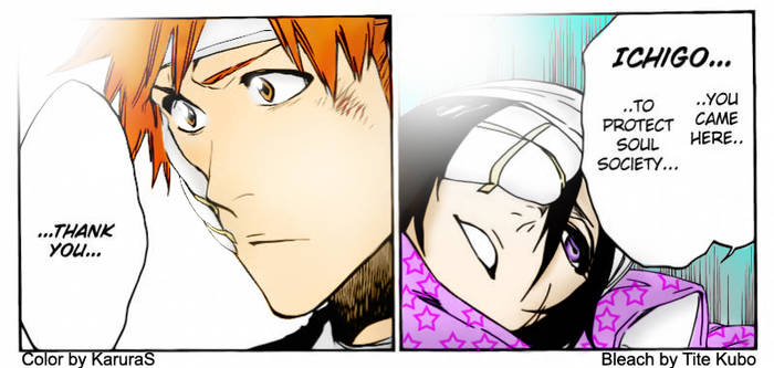 Bleach 515 - Thank you....Ichigo