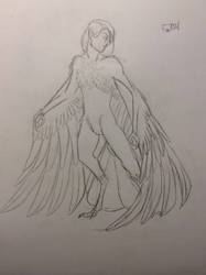 Harpy Sketch