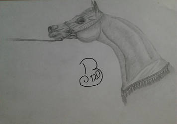 Arabian Drawing 001 ~ Show It