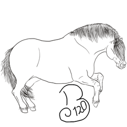 Pony Line-Art 003