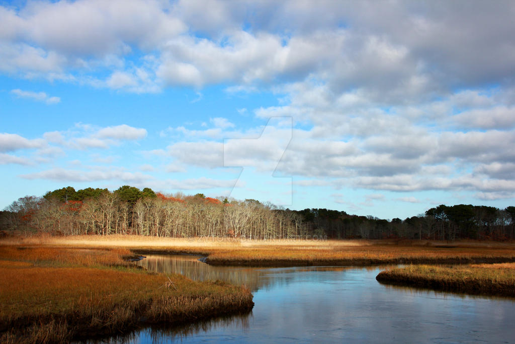 Marsh View