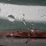 Splash 1