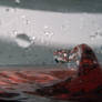 Splash 5