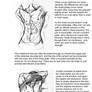 Male torso tutorial