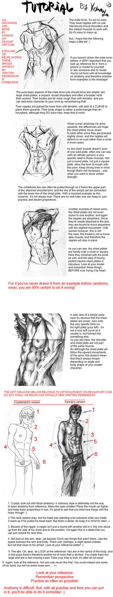 Male torso tutorial