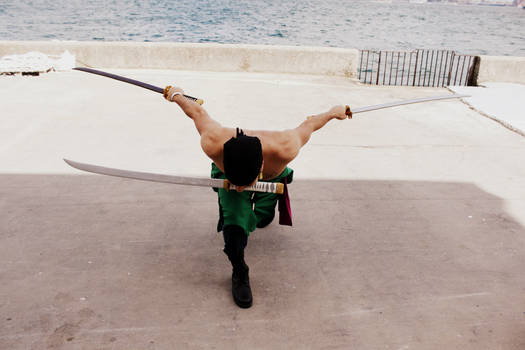 Roronoa Zoro 3D2Y Cosplay ~Rengoku Onigiri!