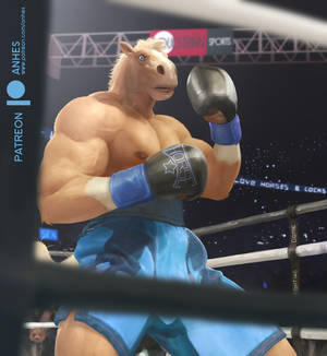 Boxer Horse 1