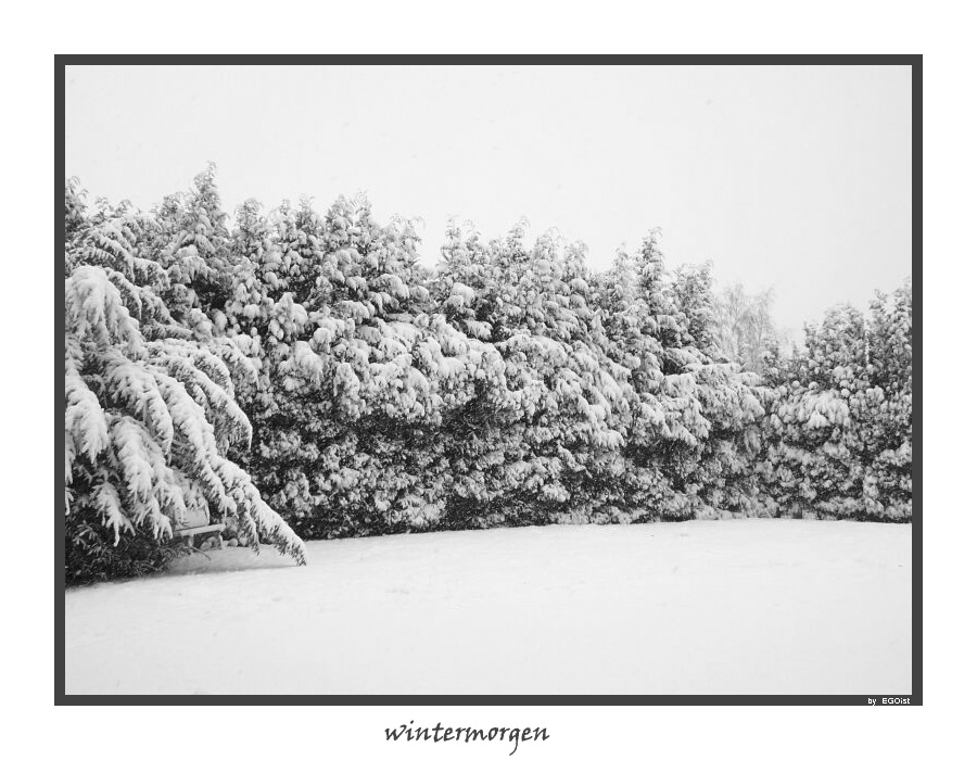 Wintermorgen B-W