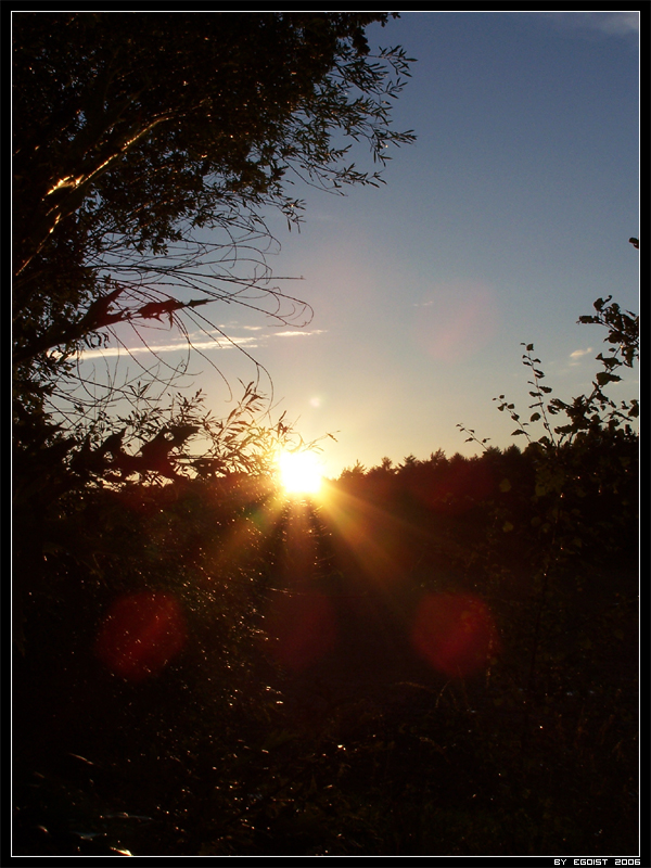 Appletree Road