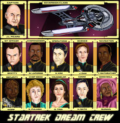 My Star Trek Dream Crew