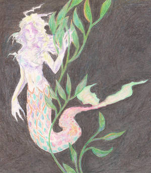 Mermaid Dark Water