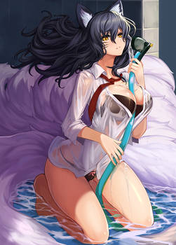 washing ahri-1