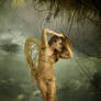 Angel in trouble