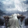 Beauty in sorrow