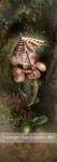 Elf baby by CindysArt