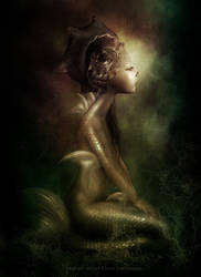 The Last Mermaid