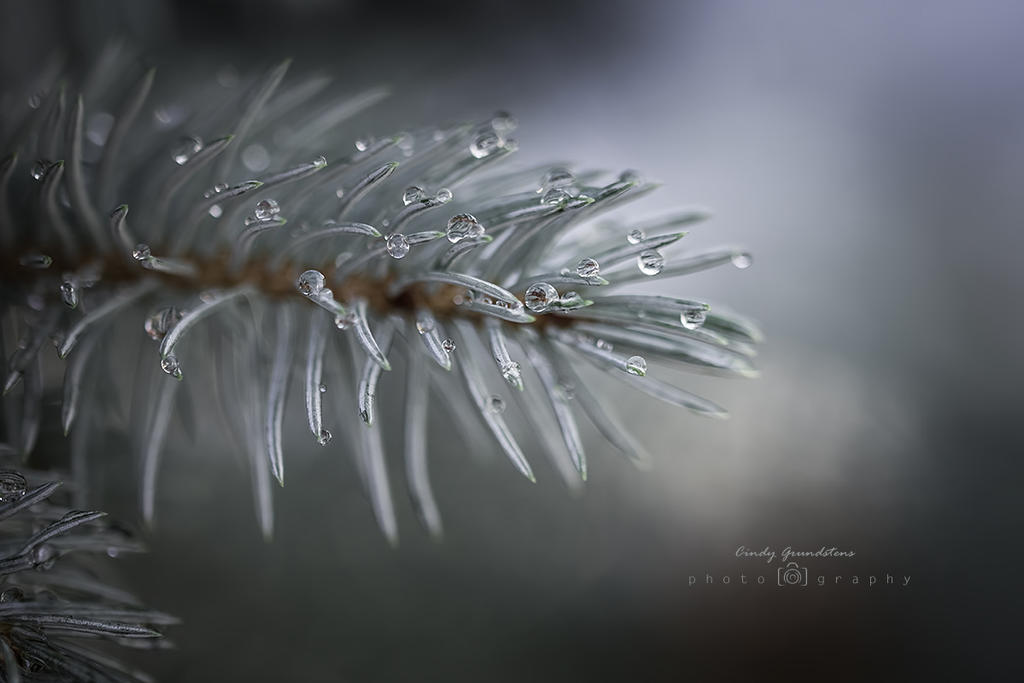 Rain Drops by CindysArt