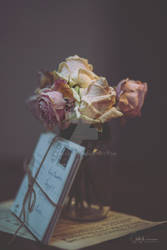 Dried roses