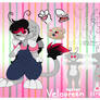 Velooreen Reference Sheet