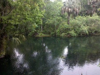 Silver Springs Lagoon