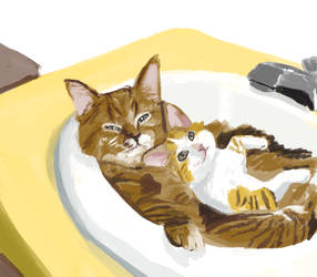 Cats in a sink