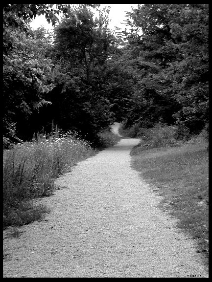 Long gravel path to where