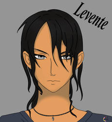 Levente - The Constellation System