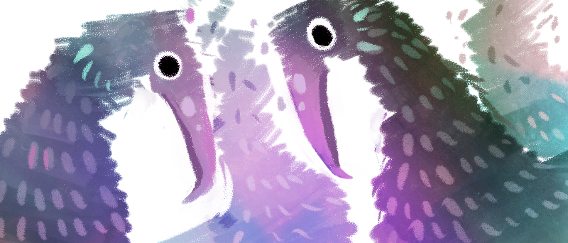 Birds